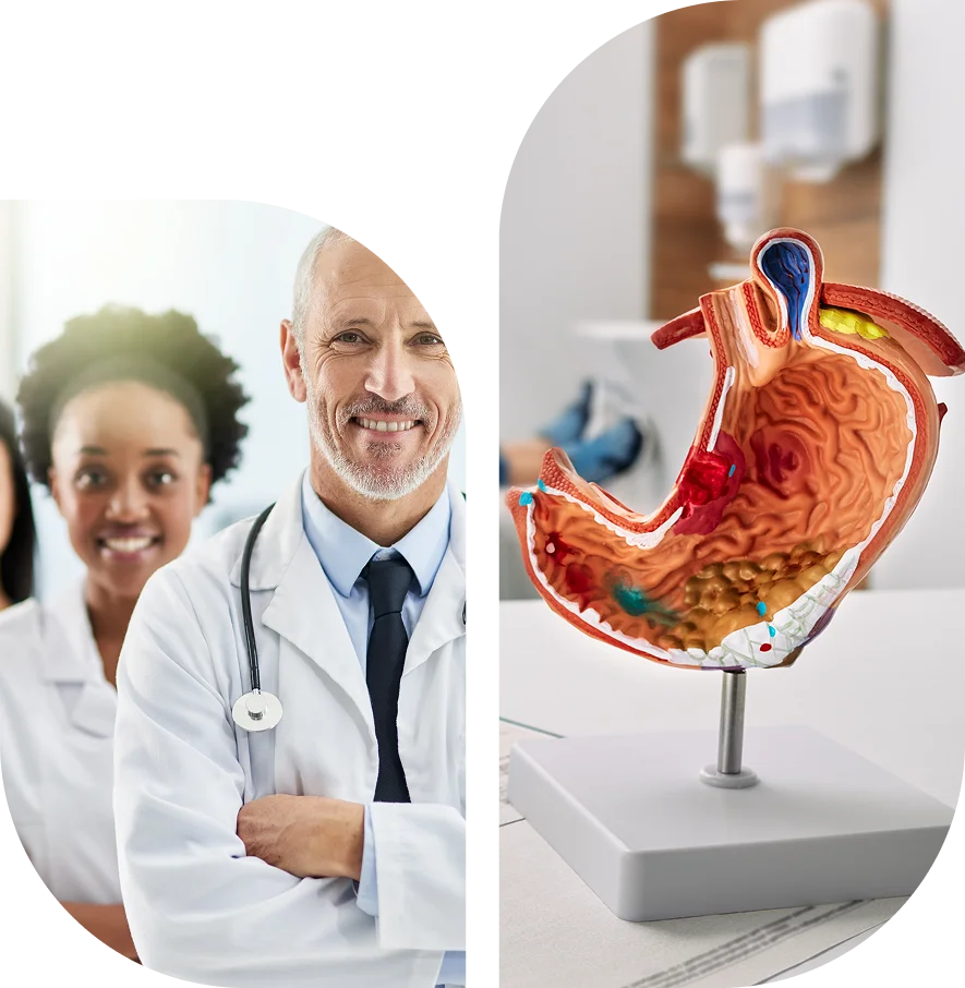 A group of medical professionals stands next to a detailed anatomical model of a human stomach on a table in a clinical setting.